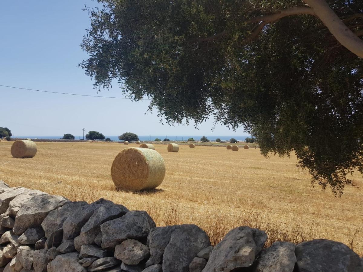 Homidoo Country Διαμέρισμα Santa Croce Camerina Εξωτερικό φωτογραφία